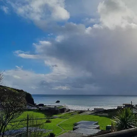 View - Luxury Sea View - Millendreath, *
